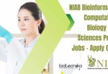 NIAB Bioinformatics, Computational Biology & Life Sciences Project Jobs – Apply Online NIAB Bioinformatics