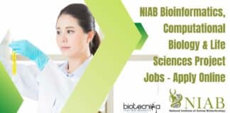 NIAB Bioinformatics