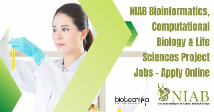 NIAB Bioinformatics