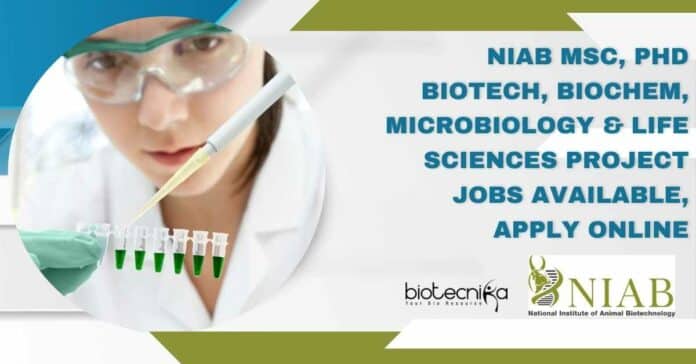 NIAB Project Research Openings