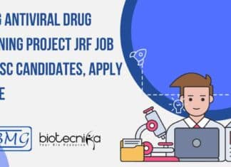 NIBMG Project JRF Job