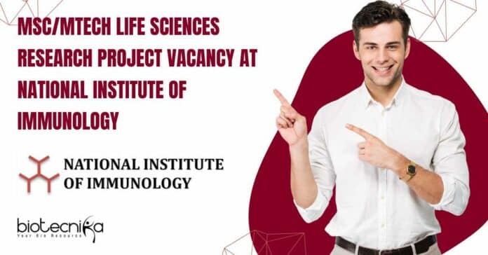 NII Delhi JRF Job