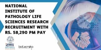 NIP Research Associate Vacancy