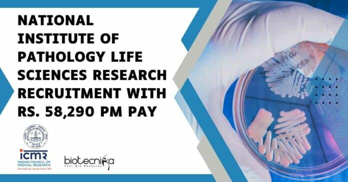 NIP Research Associate Vacancy