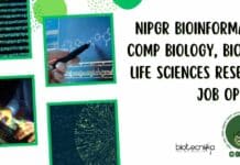 NIPGR Bioinformatics, Comp Biology, Biotech, Life Sciences Research Job Opening NIPGR Bioinformatics Research Vacancy