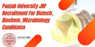 Panjab University JRF Recruitment