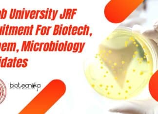 Panjab University JRF Recruitment