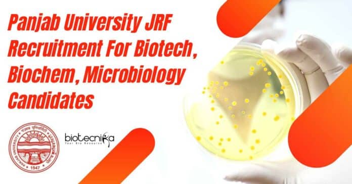 Panjab University JRF Recruitment