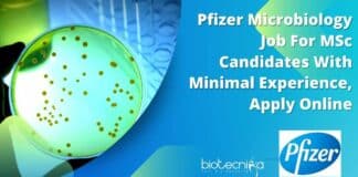 Pfizer Microbiology Job For