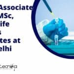 Project Associate Job