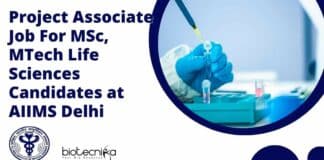 Project Associate Job