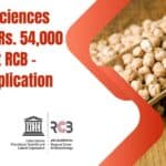 RCB High Pay PhD Job