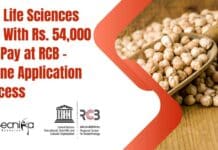 PhD Life Sciences Job With Rs. 54,000 pm Pay at RCB – Online Application Process RCB High Pay PhD Job