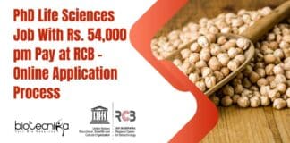 RCB High Pay PhD Job