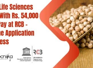 RCB High Pay PhD Job