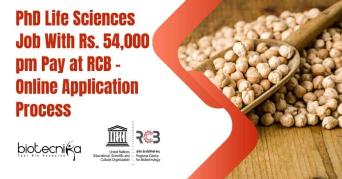 RCB High Pay PhD Job