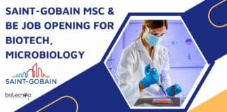 Saint-Gobain Jobs