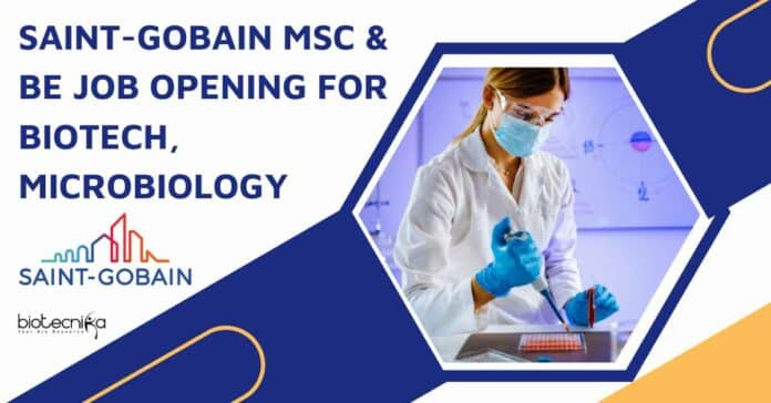 Saint-Gobain Jobs