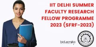 Summer Faculty Research Fellow Programme 2023