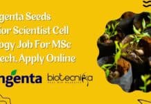 Syngenta Seeds Junior Scientist Cell Biology Job For MSc Biotech, Apply Online Syngenta Seeds Job Opening