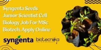 Syngenta Seeds Job Opening
