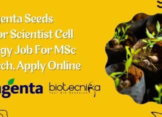 Syngenta Seeds Job Opening