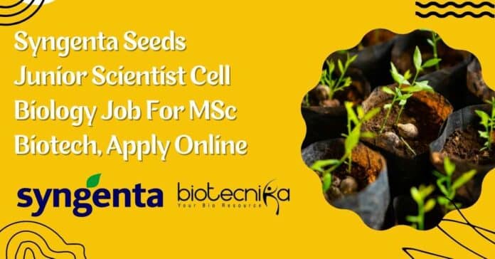 Syngenta Seeds Job Opening