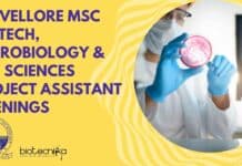 VIT Vellore MSc Biotech, Microbiology & Life Sciences Project Assistant Openings VIT Vellore MSc Biotech