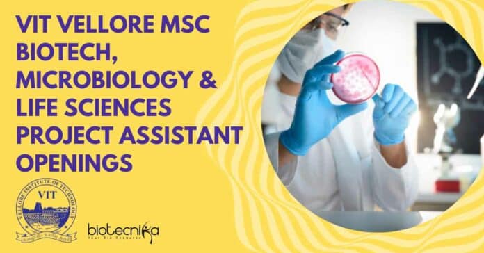 VIT Vellore MSc Biotech