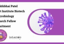 Vallabhbhai Patel Chest Institute Biotech & Microbiology Research Fellow Recruitment VPCI Biotech SRF Job