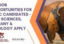 WII Job Opportunities For MSc Candidates – Life Sciences, Botany & Zoology Apply WII Project Openings 2023