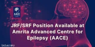 AACE Research Fellowship