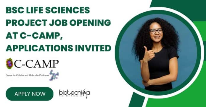 BSc Life Sciences Project