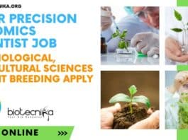 Bayer Bengaluru Jobs