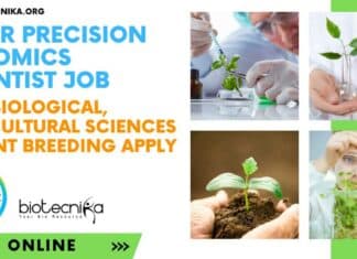 Bayer Bengaluru Jobs