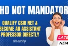 PhD Not Mandatory