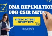 DNA Replication For CSIR NET