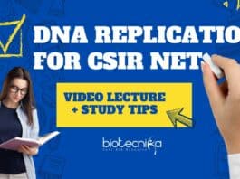 DNA Replication For CSIR NET