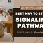 signaling pathway CSIR NET
