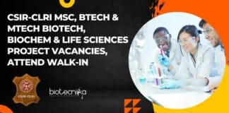 CLRI Project Vacancies 2023
