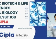 MSc Biotech & Life Sciences Cell Biology Analyst Job at Cipla, Apply Online Cipla Jobs For Biotech