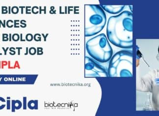Cipla Jobs For Biotech