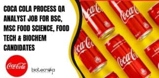 Coca Cola QA Analyst