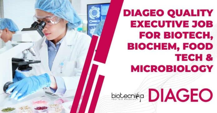 DIAGEO Jobs Quality Executive