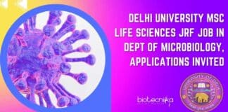 Delhi University MSc JRF
