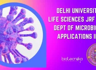 Delhi University MSc JRF