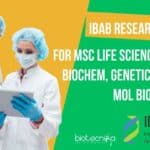 IBAB Research Position