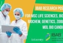 IBAB Research Position For MSc Life Sciences, Biotech, Biochem, Genetics, Zoology & Mol Bio Candidates IBAB Research Position