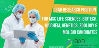 IBAB Research Position