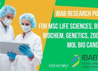IBAB Research Position
